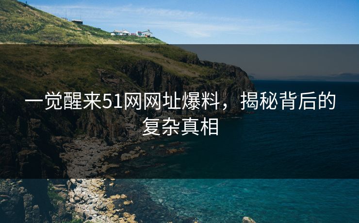 一觉醒来51网网址爆料,揭秘背后的复杂真相 一觉醒来51网网址爆料,揭秘背后的复杂真相